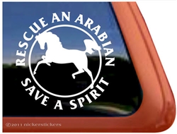 Arabian Pinto Horse Trailer Window Decal