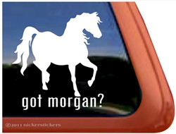 Morgan Horse Trailer Window Decal