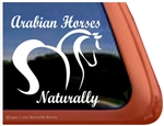 Arabian Pinto Horse Trailer Window Decal