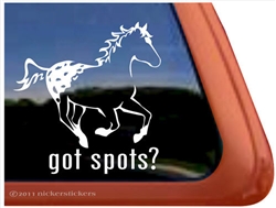 Appaloosa Window Decal