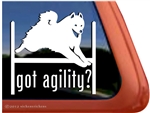 Samoyed Agility Dog Window Decal