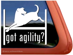 Labrador Retriever Agility Dog Window Decal