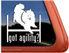 American Eskimo Dog Agility Window Decal