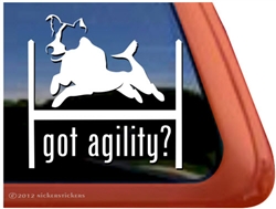 Jack Russell Terrier Agility Dog Window Decal