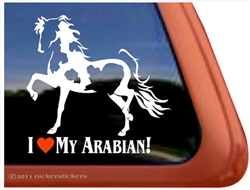 Arabian Pinto Horse Trailer Window Decal