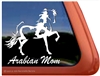 Arabian Pinto Horse Trailer Window Decal