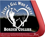 Dog Border Collie Dog Car Truck RV Window Decal Sticker