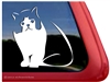 Exotic Shorthair Cat Window Decal