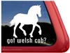 Welsh Cob Horse Trailer Window Decal