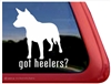 Australian Cattle Dog Window Decal