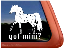 Miniature Appaloosa Window Decal