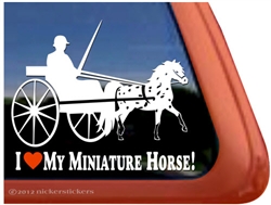 Miniature Appaloosa Driving Window Decal