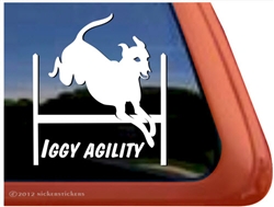 Italian Greyhound Agility Dog Window Decal