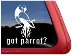 Masked Parrot Window Decal