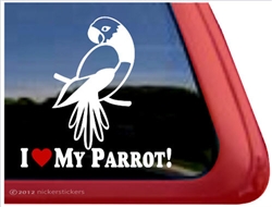 Masked Parrot Window Decal