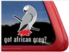 African Grey Window Decal