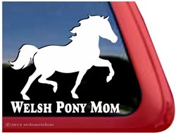 Welsh Pony Horse Trailer Window Decal
