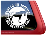 Appaloosa Window Decal