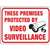 SIGN PROTECTED BY VIDEO SURVE - Case of 10
