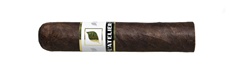L'Atelier Maduro MAD54 Pack of 5