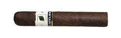 L'Atelier Maduro MAD56 Box of 20