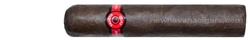 Fausto FT127 Robusto Pack of 5