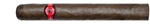 Fausto FT166 Short Churchill Pack of 5