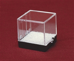 Plastic Perky Box Clear and Black Cube