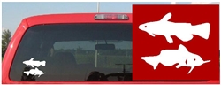 Catfish Decal