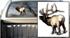 Elk Alone Decal