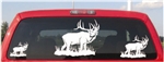 Monarch Elk Decal