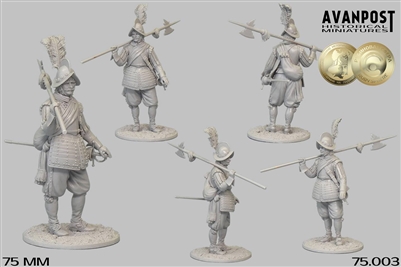 Infantry Sergeant, 1630 75mm, resin figure,