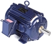 326TTGS16031-electric-motor