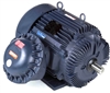 365TSTGS16507-electric-motor