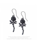 Alchemy Gothic Romance of the Black Rose Earrings