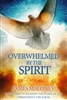 Overwhelmed by the Spirit by James Maloney