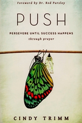 PUSH Persevere Until Success Happens by Cindy Trimm