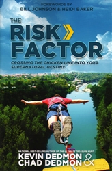 Risk Factor by Kevin Dedmon and Chad Dedmon
