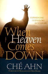 When Heaven Comes Down by Che Ahn