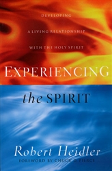 Experiencing the Spirit by Robert Heidle