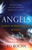 Angels God's Supernatural Agents by Ed Rocha