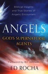 Angels God's Supernatural Agents by Ed Rocha