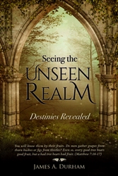 Seeing the Unseen Realm by James Durham