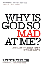 Why Is God So Mad At Me? by Pat Schatzline