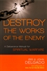 Destroy the Works of the Enemy by Iris Delgado