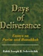 Days of Deliverance: Essays on Purim and Hanukkah