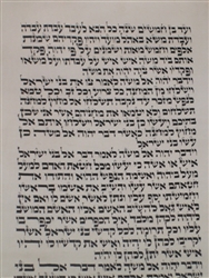 Used Torah Scroll