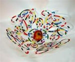 DOODLE BOWL by David Gerstein