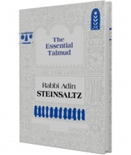 The Essential Talmud by Steinsaltz