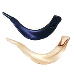 Realistic Plastic Shofars